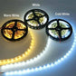 SMD Strip Light ( 10 Meter /Role )